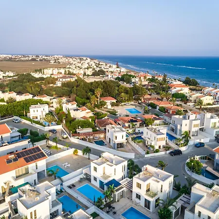 فيلة Black Swan *