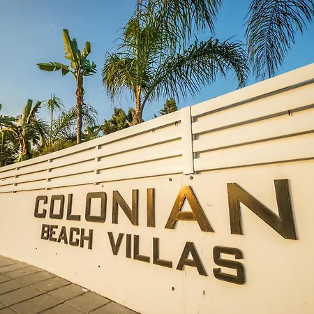 فيلة Black Swan بريفوليا