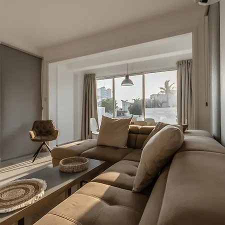 Black Swan بريفوليا