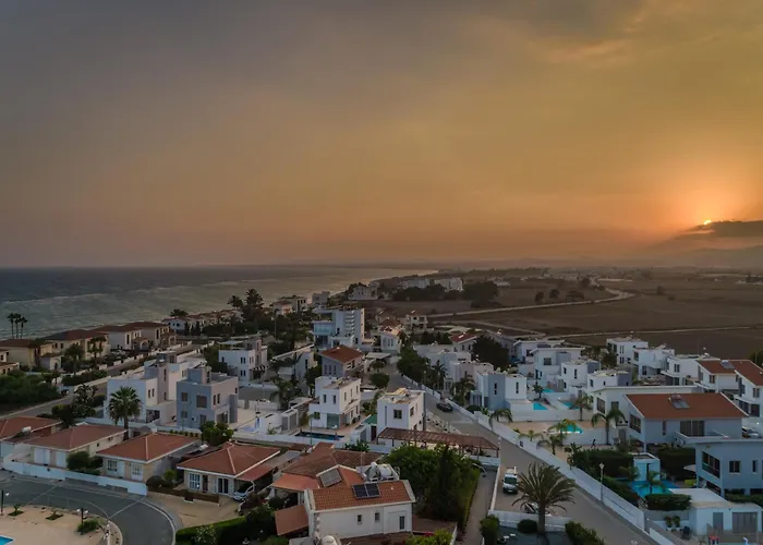 Black Swan Willa Periwolia