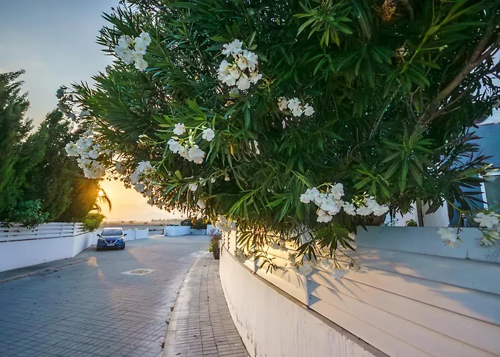 Willa Black Swan Periwolia